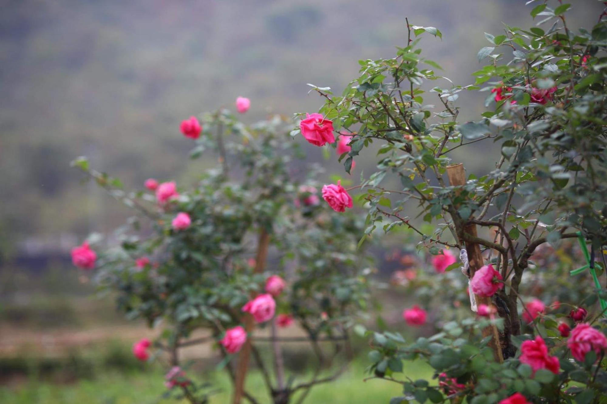 Nasan Green Farm Cao Bang Exterior foto